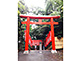 Red Torii Gates (Inari Sando) at Akasaka Hie Shrine in Tokyo