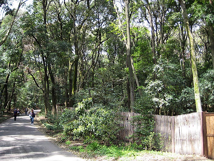 Shibafu Park, Meiji Shrine Area in Tokyo