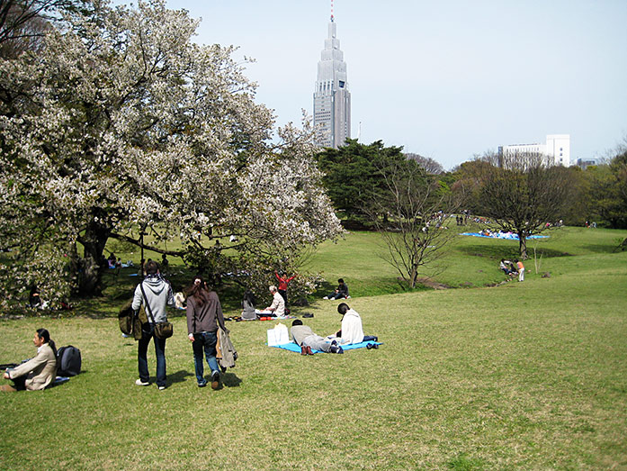 Shibafu Park and NTT Docomo Yoyogi Building