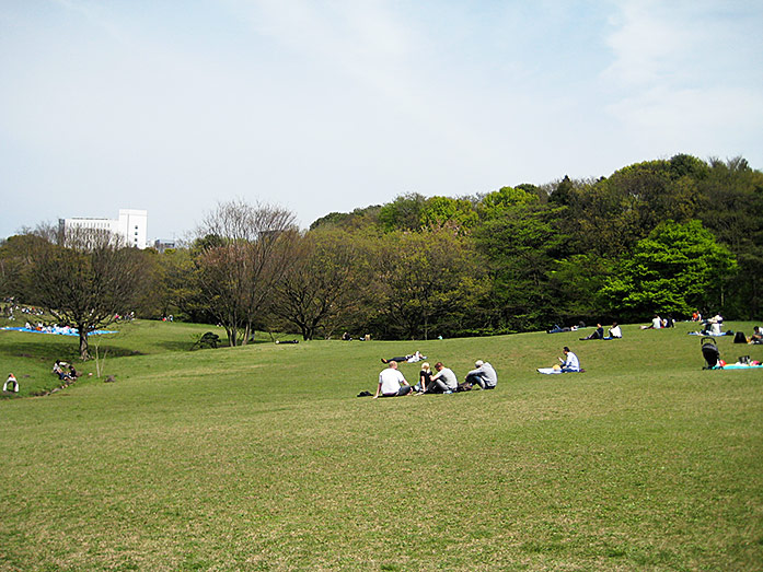 Shibafu Park, Meiji Shrine Area in Tokyo
