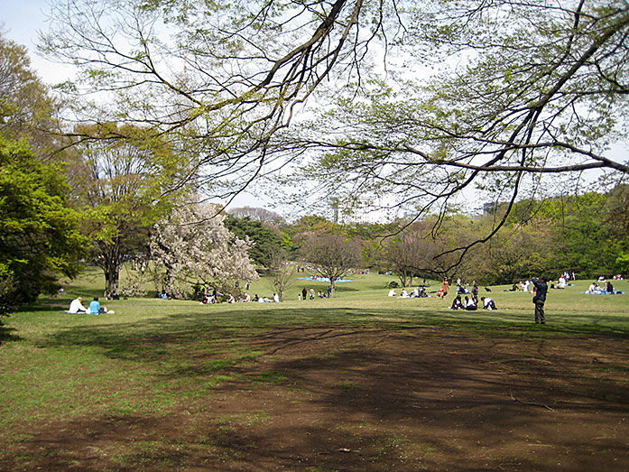 Shibafu Park, Meiji Shrine Area in Tokyo</span></p>
									</li>