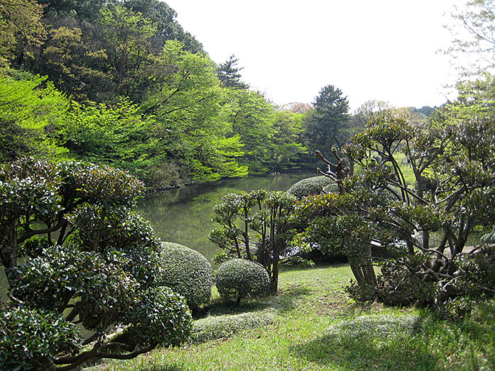 Shibafu Park, Meiji Shrine Area in Tokyo