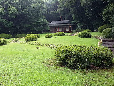 Tokyo Meiji Jingu Inner Garden