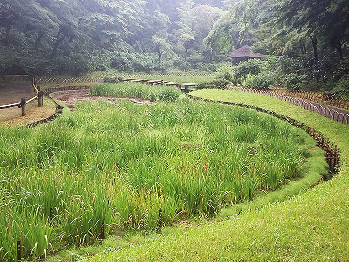 Meiji Jingu Inner Garden in Tokyo