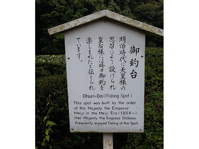 Meiji Jingu Otsuri-dai Fishing Spot in Tokyo