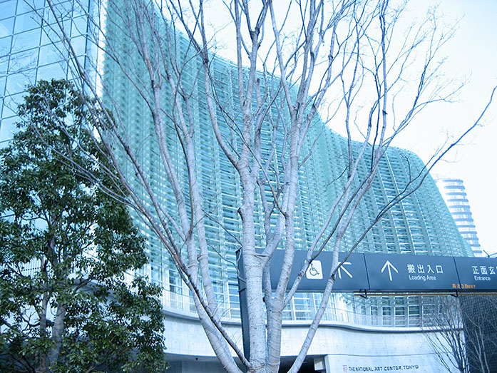 Glass Facade of The National Art Center in Tokyo