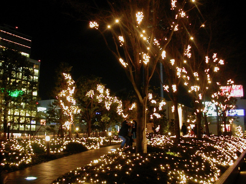 Christmas Illumination in Shnjuku