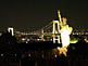Statue of Liberty at night in Odaiba in Tokyo