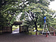 Entrance Gate of Rikugien Garden in Tokyo