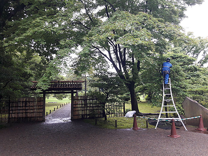 Entrance Gate Rikugien Garden in Tokyo