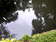 Koi in Daisensui Pond in Rikugien Garden, Tokyo