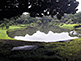 Daisensui Pond within Rikugien Garden in Tokyo