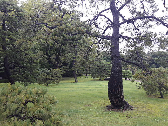 Rikugien Garden in Tokyo