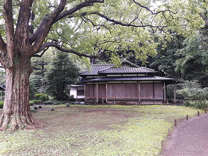 Tea House Shinsentei Rikugien Garden in Tokyo