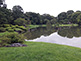 Daisensui Pond with Horaishima (island) in Rikugien Garden, Tokyo