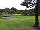 Rikugien Garden in Tokyo