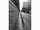 Wall along Rikugien Garden in Tokyo