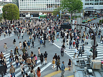 Tokyo Shibuya Crossing