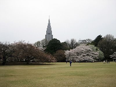 Shinjuku Gyoen