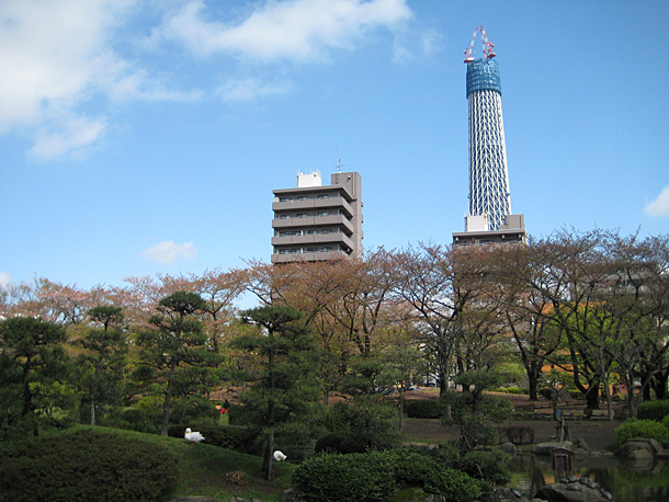 TOKYO SKYTREE View From The Ushima Shrine Park - Construction Phase