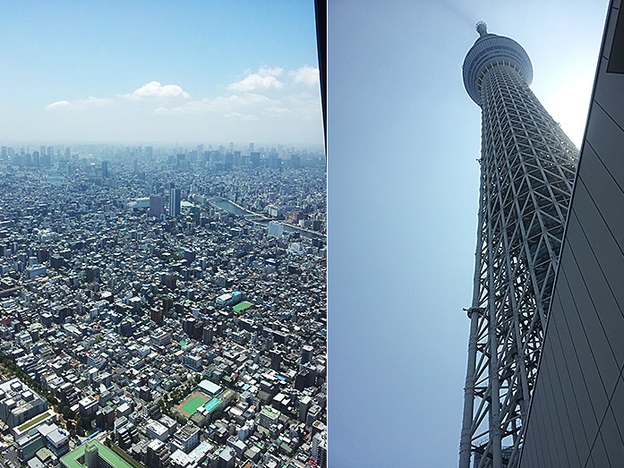 TOKYO SKYTREE Amazing View over Tokyo