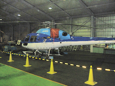 Tokyo Helicopter Flight