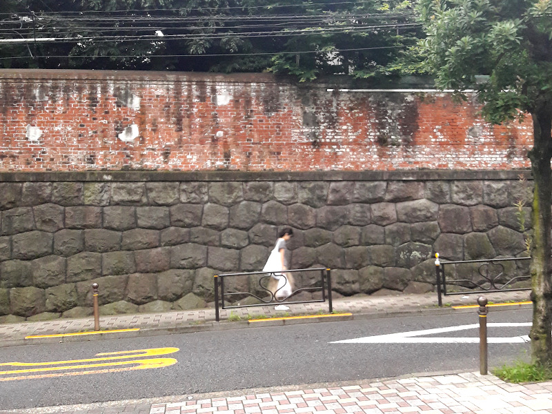 Street Scene near Tokyo University