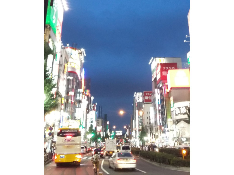 Neon Lights in Tokyo