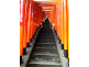 Red Torii Gates Hie Shrine in Tokyo