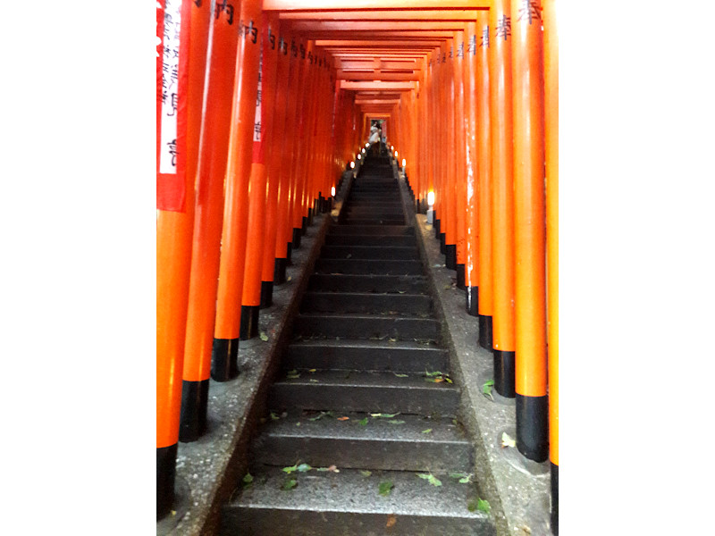 Red Torii Gates Hie Shrine in Tokyo