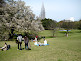 Yoyogi Park in Tokyo