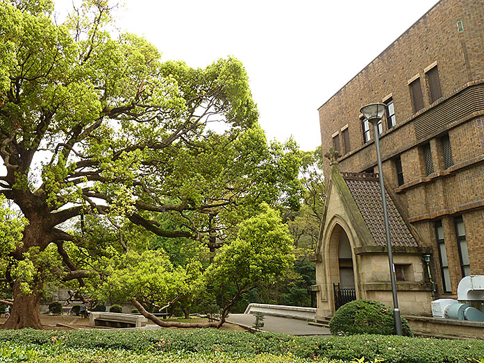 Processed version of Tokyo University I-Jio Tree Avenue in…