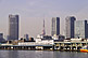 Tokyo Tsukiji Market