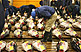 Inside Tsukiji Fish Market in Tokyo