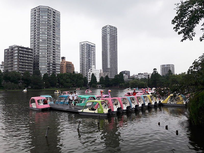 Shinobazu Pond with Pedal Boats in Ueno Park Tokyo