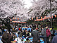 Tokyo Ueno Park