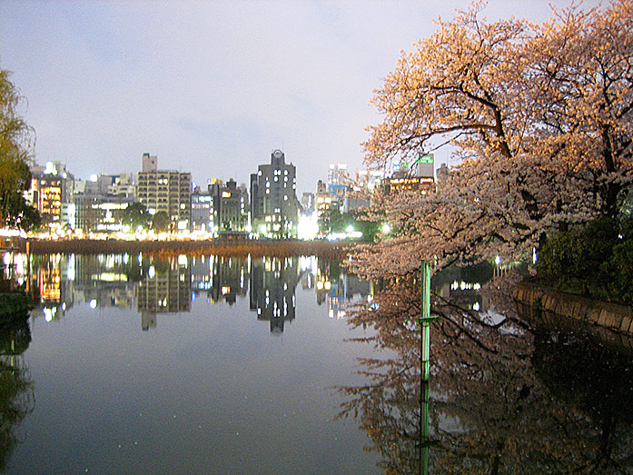 Shinobazu Pond at night within Ueno Park in Tokyo