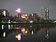 Cherry Blossom at Shinobazu Pond within Ueno Park in Tokyo