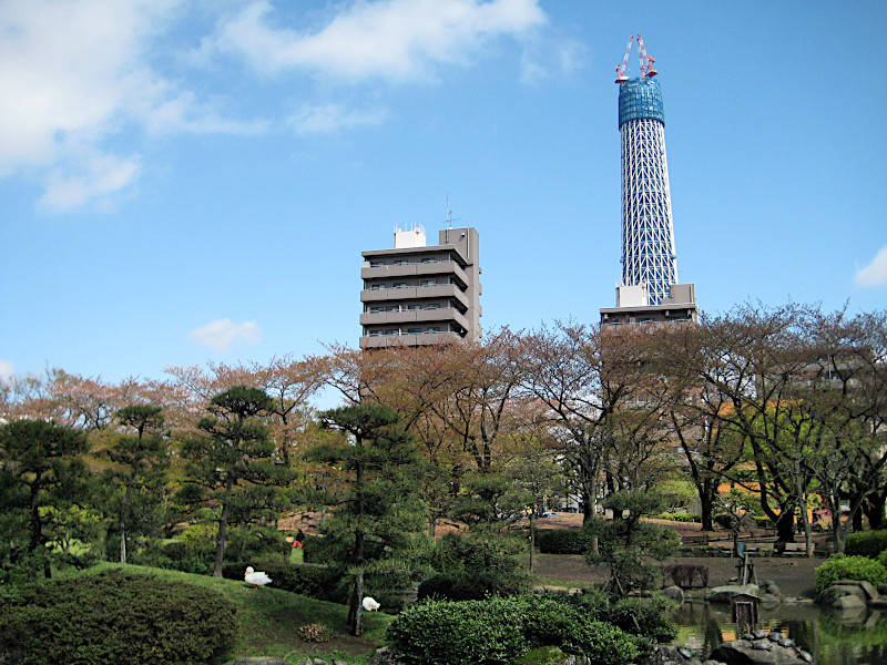 Sumida Park with unfinished The Tokyo Skytree in the Background