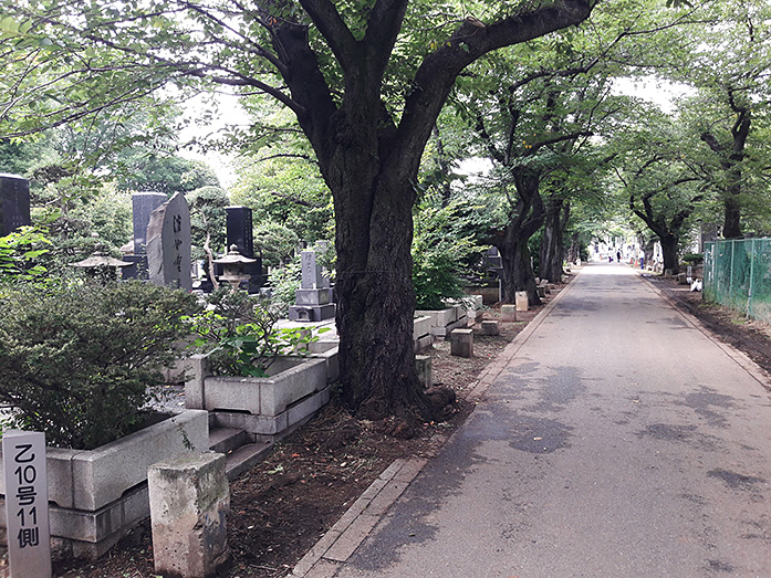 Yanaka Cemetery in Tokyo