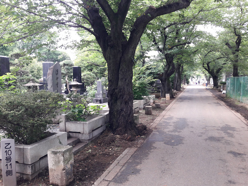 Yanaka Cemetery in Tokyo