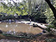 Sacred Pond Garden of Yasukuni Shrine in Tokyo