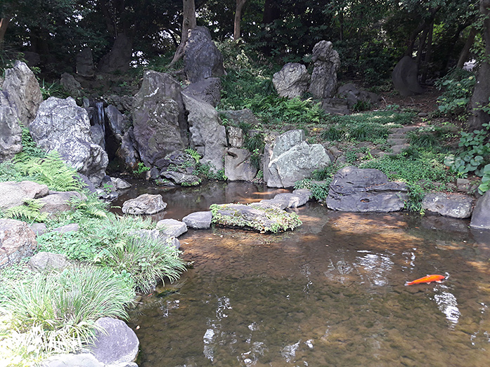 Koi Sacred Pond Garden, Yasukuni Shrine in Tokyo