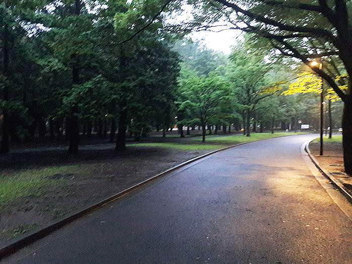 Night Walk through Yoyogi Park in Tokyo