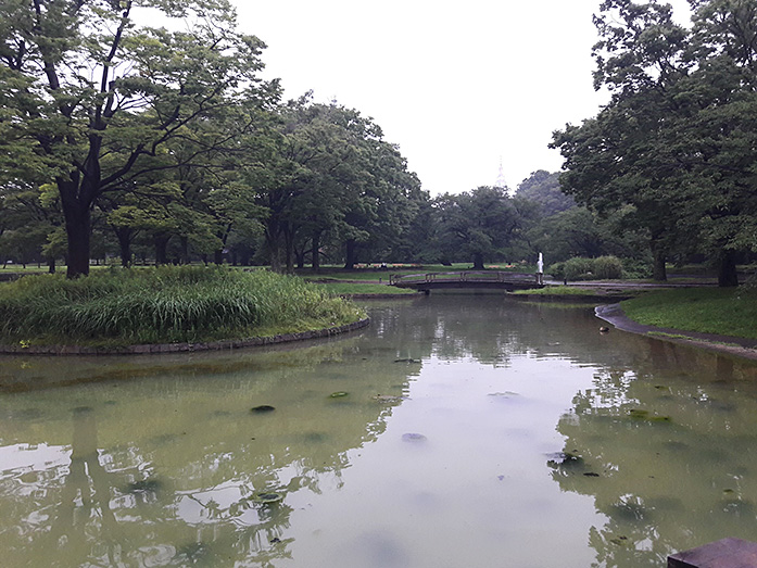 Pond within Yoyogi Park in Tokyo