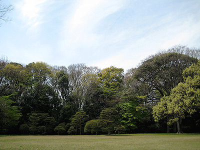 Yoyogi Park in Tokyo
