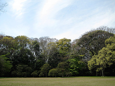 Tokyo Yoyogi Park