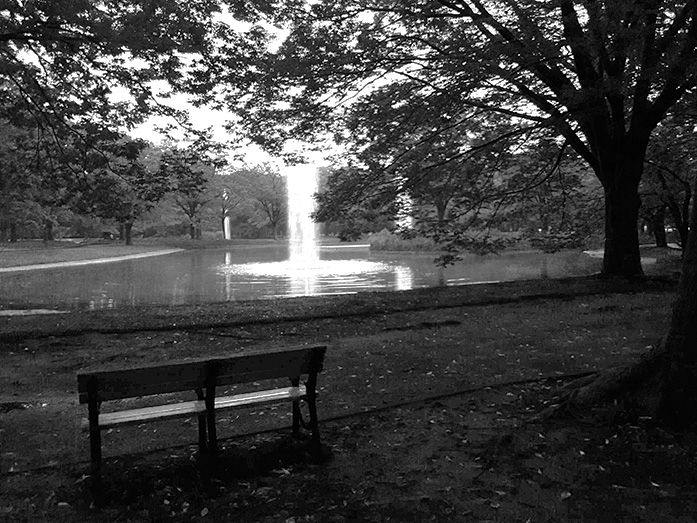 Relaxing Moment within Yoyogi Park in Tokyo