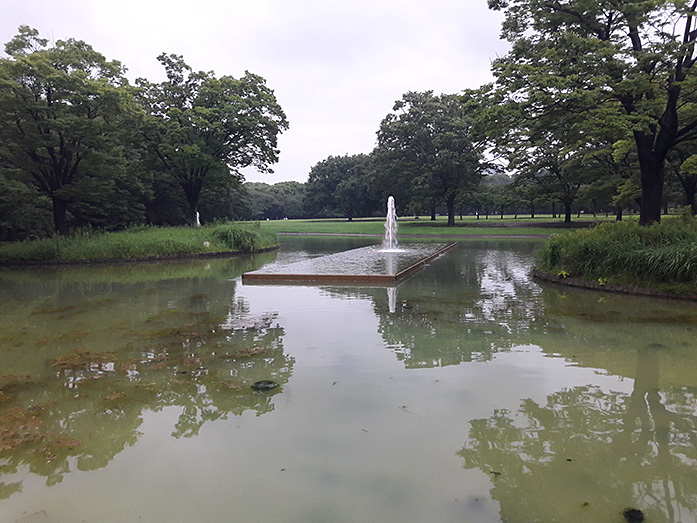 Pond within Yoyogi Park in Tokyo