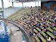 Dolphin Show in Hakkeijima Sea Paradise in Yokohama
